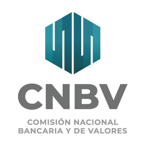 Comisión nacional bancaria y de valores